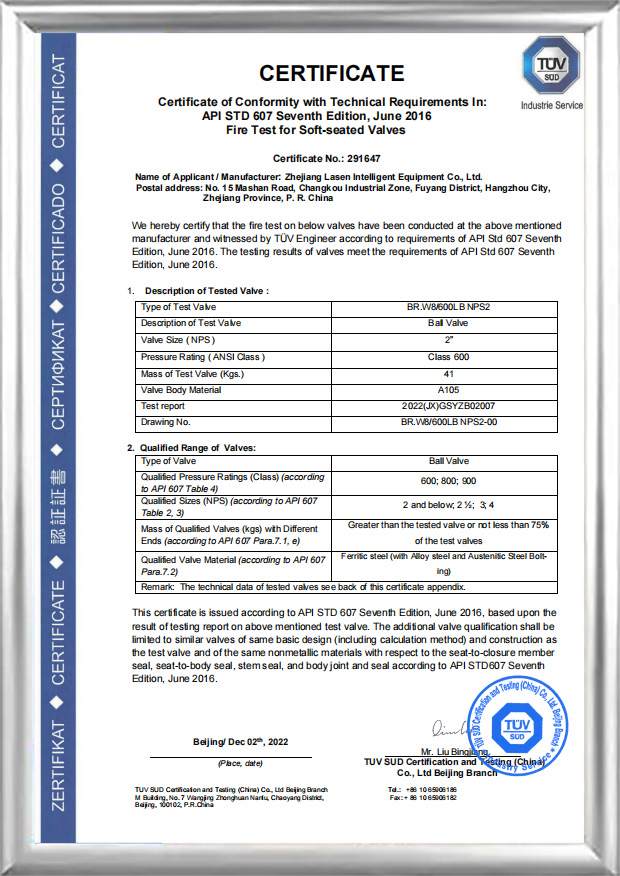 API 607 ​​Yangın Sertifikası(BR.W8/600 LB NPS2)